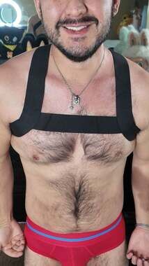 CODE 22 Basic Elastic Chest Harness